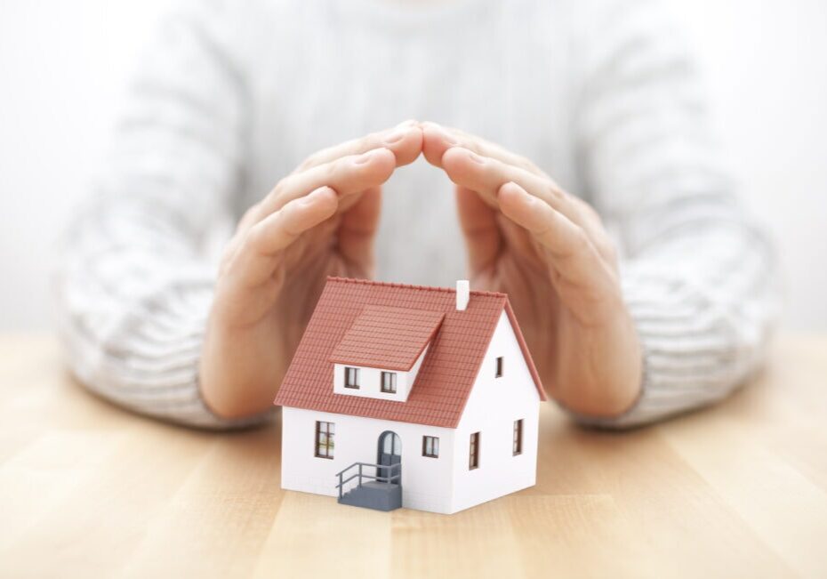 Protect Your House Protect Your House